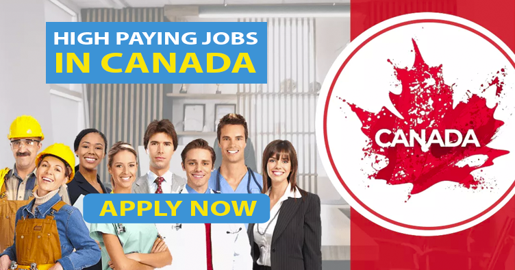 Jobs in Canada for 2023 | List of High Paying Jobs | Hiring 1000+ Workers